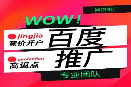 竞价广告的转化率提升策略——案例分享
